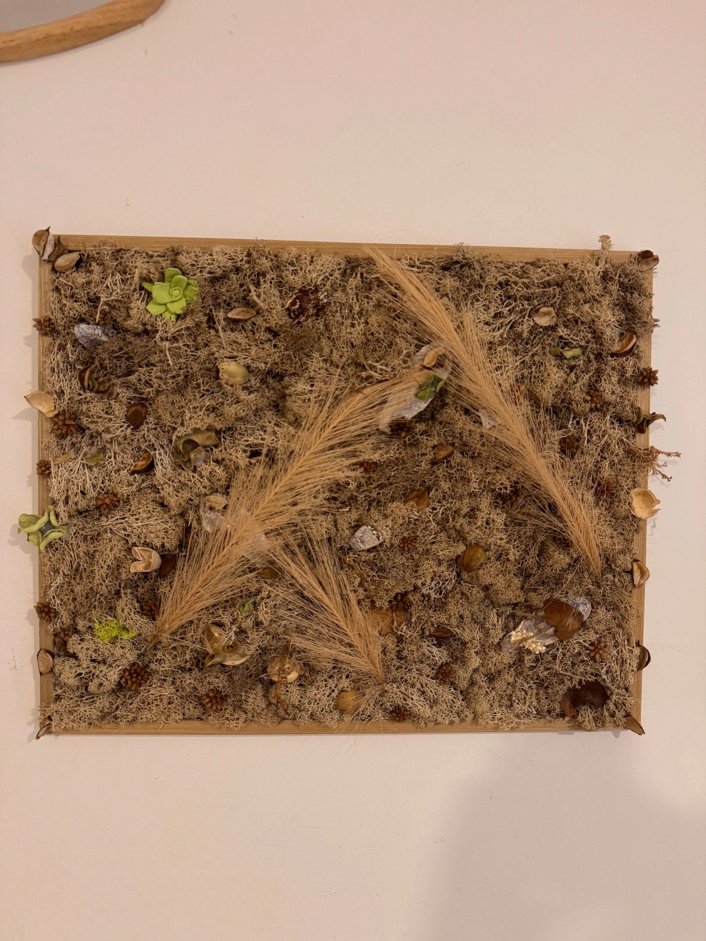 Tableau Végétal 40x50 cm “Bohème” – Déco Nature Créative | Vertéo Verte'o