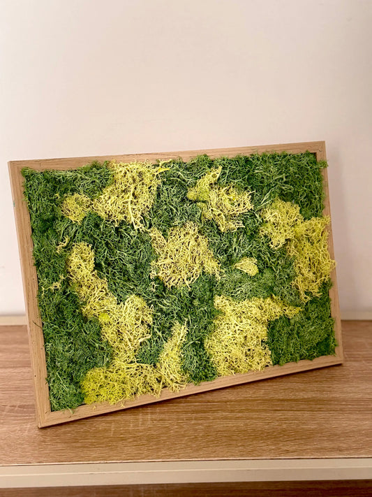 Tableau Végétal 21x29 cm “Forêt” – Nature Miniature & Artisanat | Vertéo Verte'o