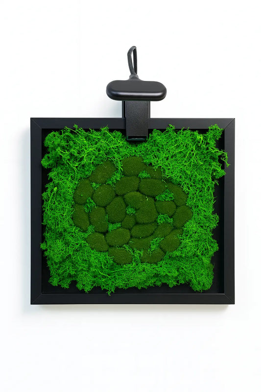 Tableau Végétal 21x29 cm “Brouillard” – Vertéo | Déco Murale Nature Verte'o