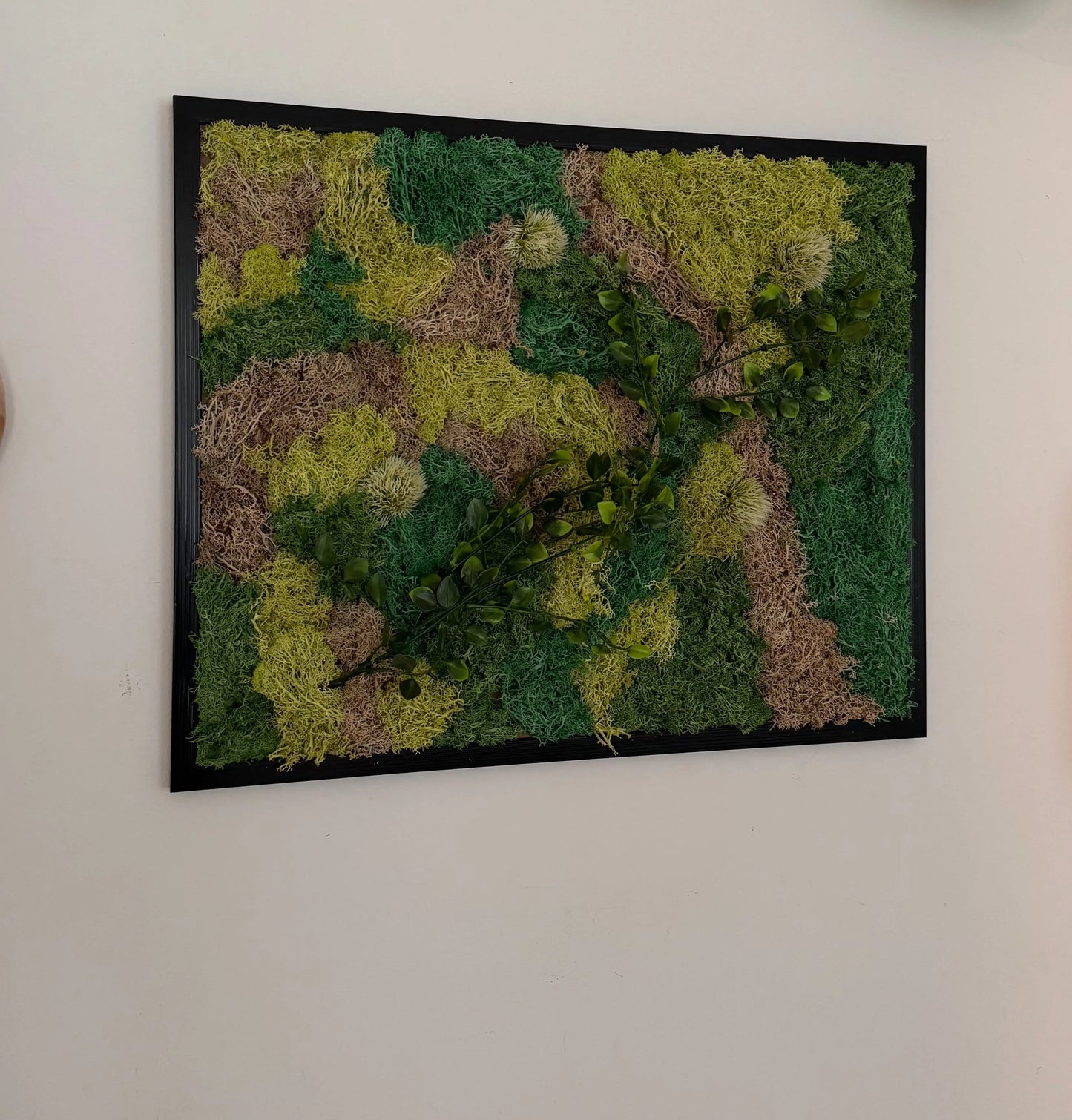 Tableau Végétal 40x50 cm “Belle Nature” – Équilibre & Design Végétal | Vertéo Verte'o