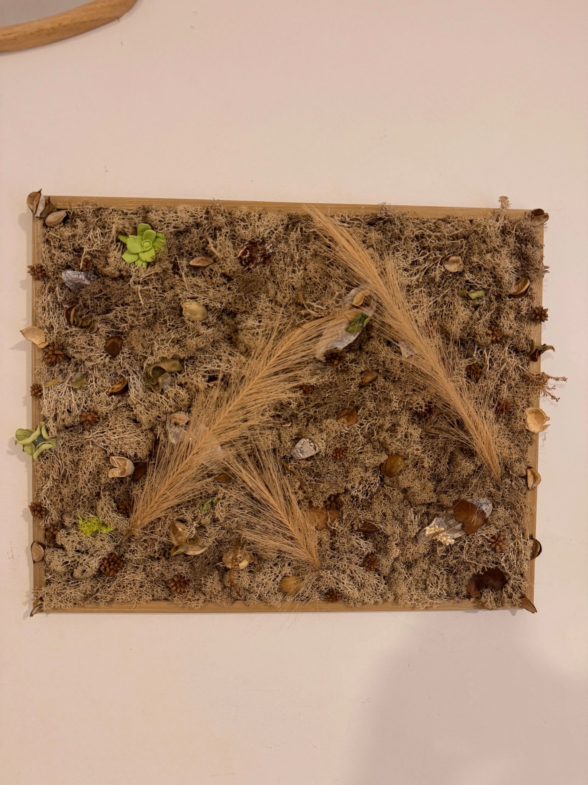 Tableau Végétal 40x50 cm “Bohème” – Déco Nature Créative | Vertéo Verte'o