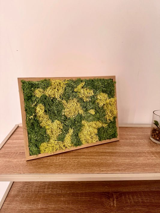 Tableau Végétal 21x29 cm “Forêt” – Nature Miniature & Artisanat | Vertéo Verte'o