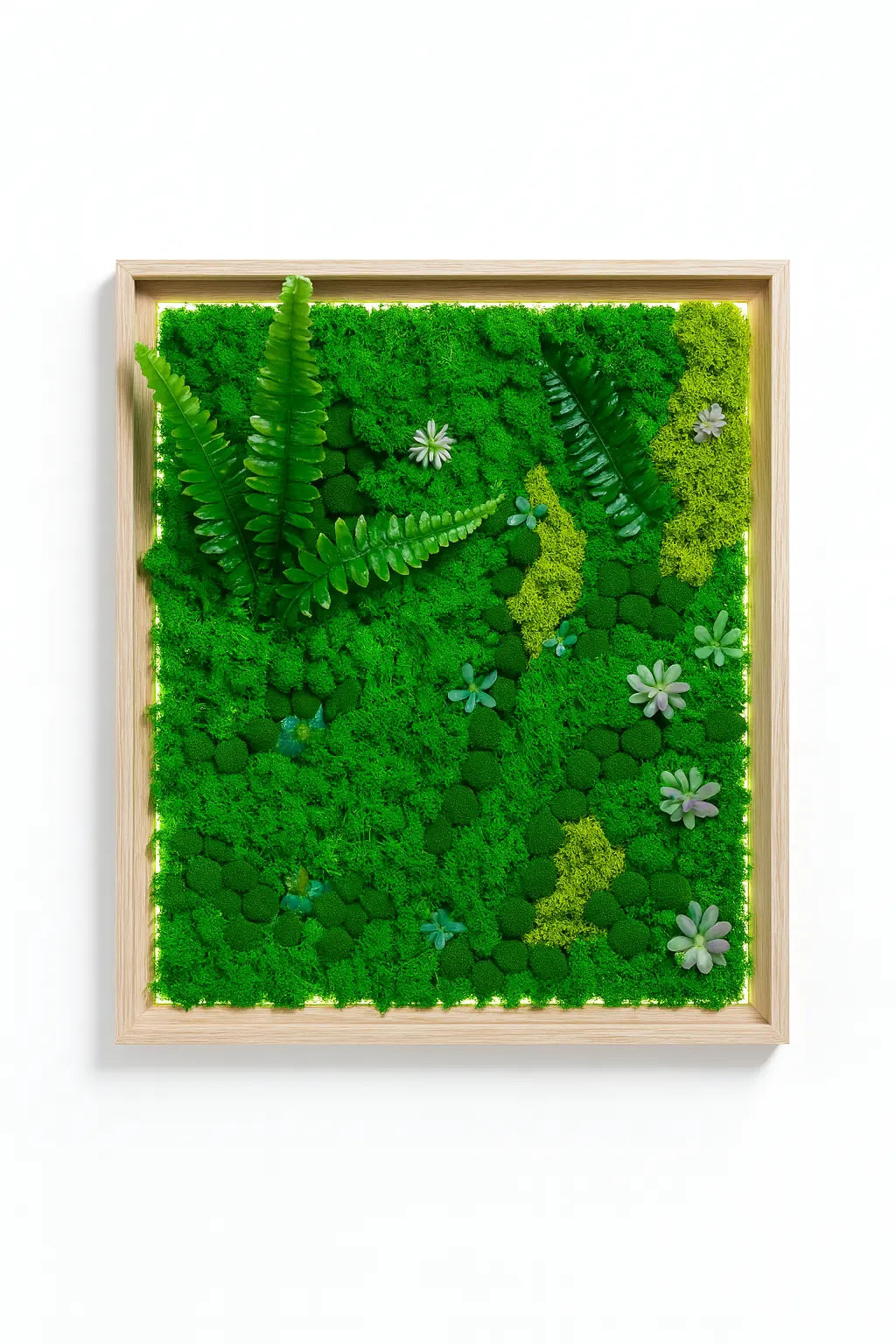 Tableau Végétal 50x70 cm “Rêve” – Déco Nature & Élégance | Vertéo Verte'o